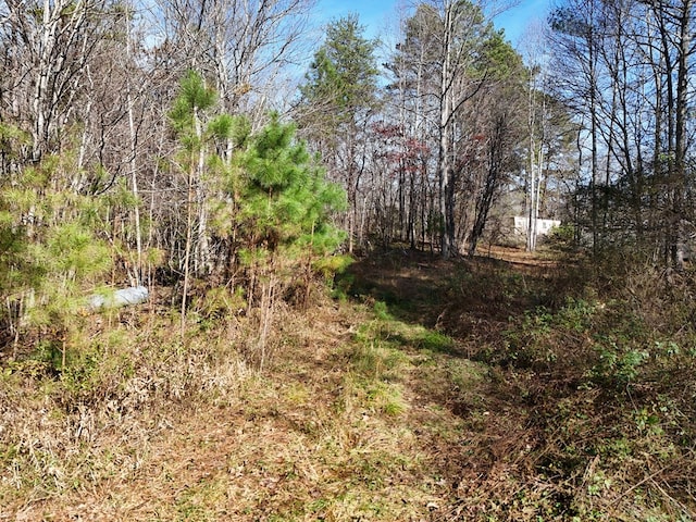 Lot1 Wildwood, Hayesville, NC 28904