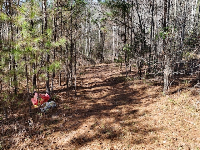Lot1 Wildwood, Hayesville, NC 28904