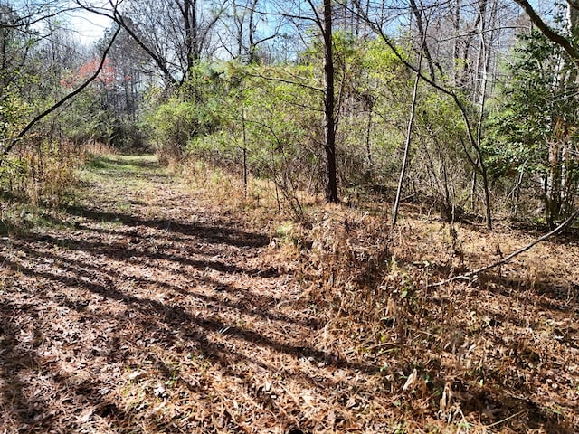 Lot1 Wildwood, Hayesville, NC 28904