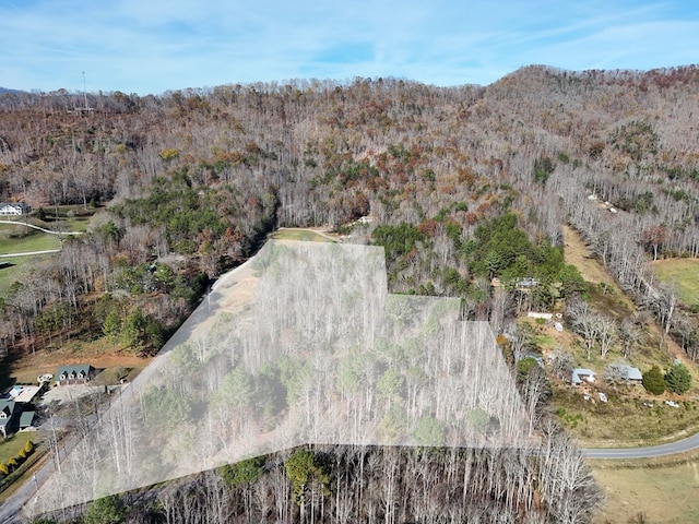 Lot1 Wildwood, Hayesville, NC 28904