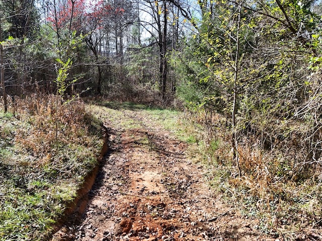 Lot1 Wildwood, Hayesville, NC 28904