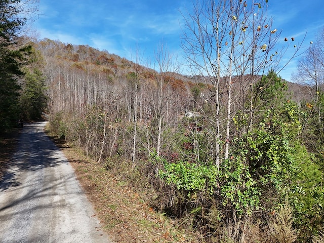 Lot1 Wildwood, Hayesville, NC 28904