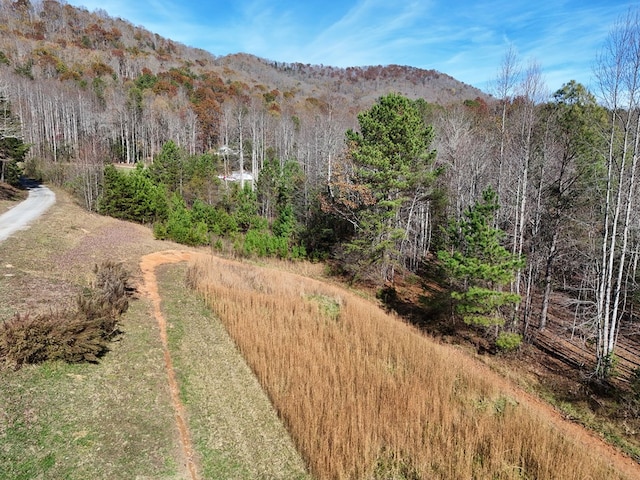 Lot1 Wildwood, Hayesville, NC 28904