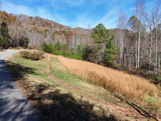 Lot1 Wildwood, Hayesville, NC 28904