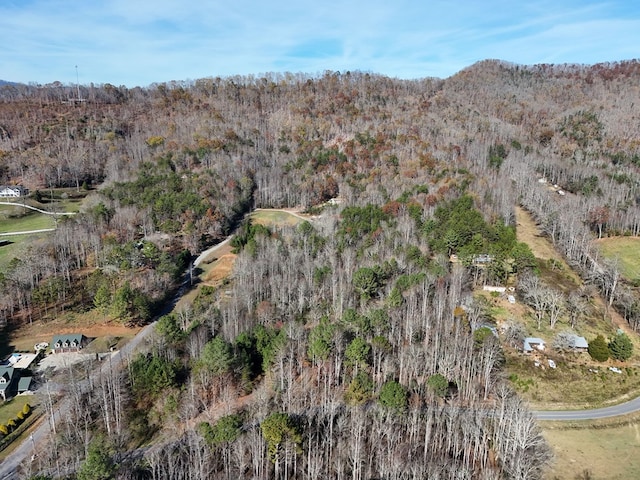 Lot1 Wildwood, Hayesville, NC 28904