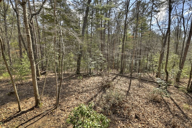 view of local wilderness featuring a forest view