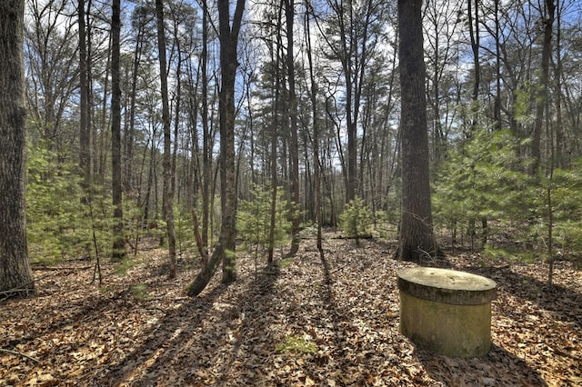 view of landscape with a forest view