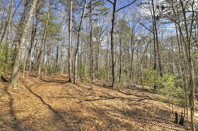 view of landscape featuring a forest view