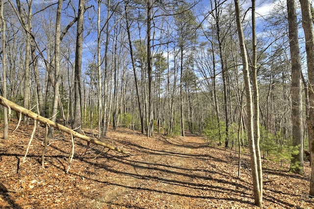 view of local wilderness with a forest view