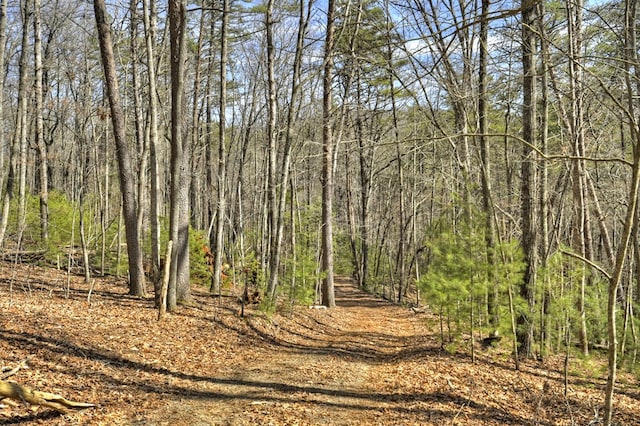 view of local wilderness with a forest view