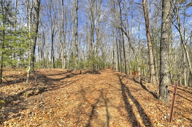 view of yard featuring a view of trees