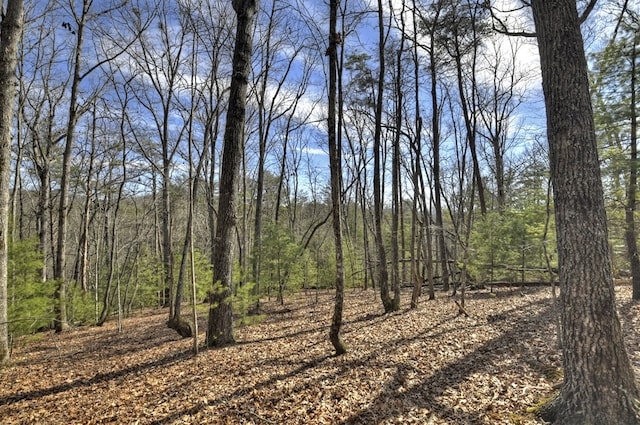 view of local wilderness with a forest view