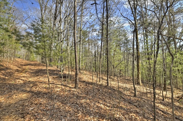 view of landscape