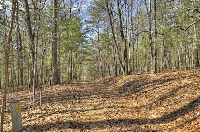 view of landscape with a forest view