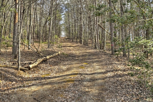 view of road