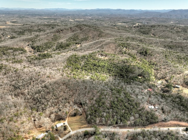 birds eye view of property featuring a mountain view