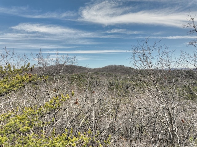 property view of mountains