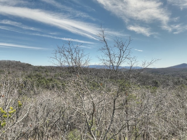 view of local wilderness featuring a mountain view