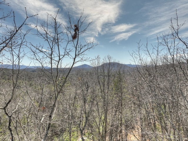 property view of mountains