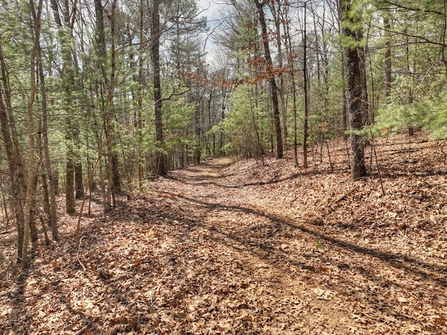 view of nature with a wooded view