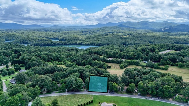 432 Jewell Mason, Blairsville, GA 30512 - aerial view of a water and mountain view and a forest