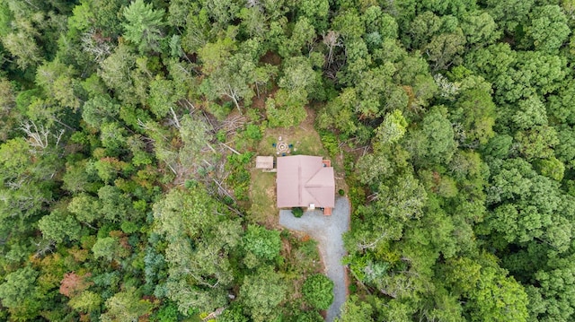 bird's eye view with a view of trees