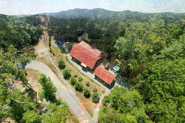 bird's eye view featuring a mountain view