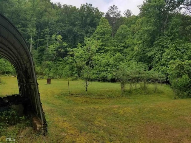 view of local wilderness