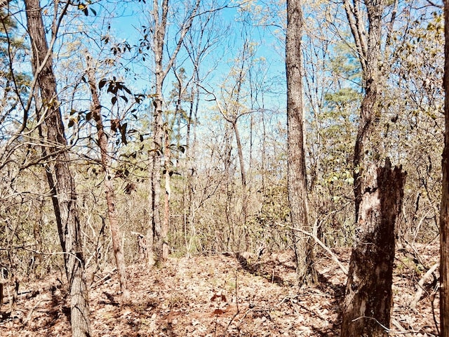 LOT751 Morton Dr, Ellijay, GA 30540