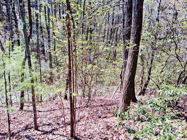 LOT751 Morton Dr, Ellijay, GA 30540