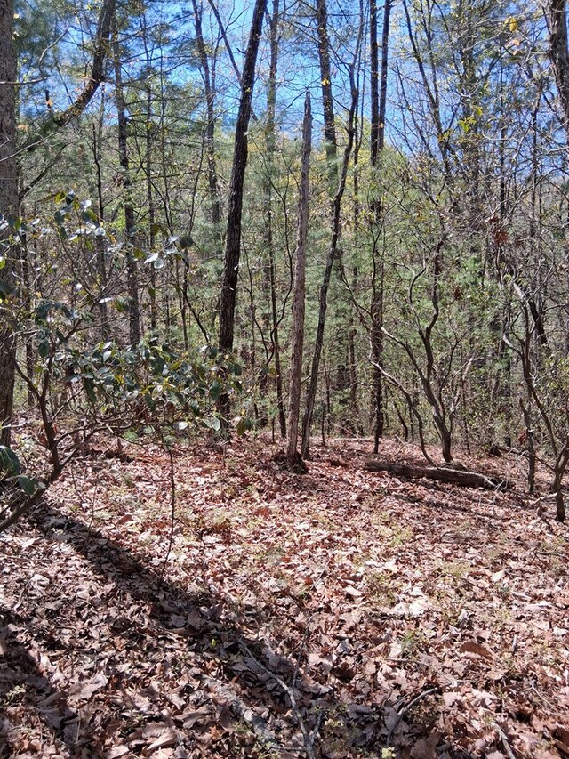 LOT751 Morton Dr, Ellijay, GA 30540