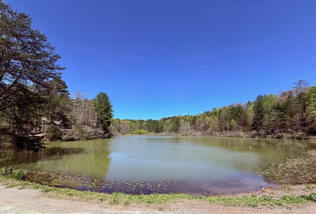 LOT751 Morton Dr, Ellijay, GA 30540