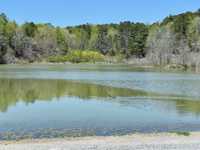 LOT751 Morton Dr, Ellijay, GA 30540