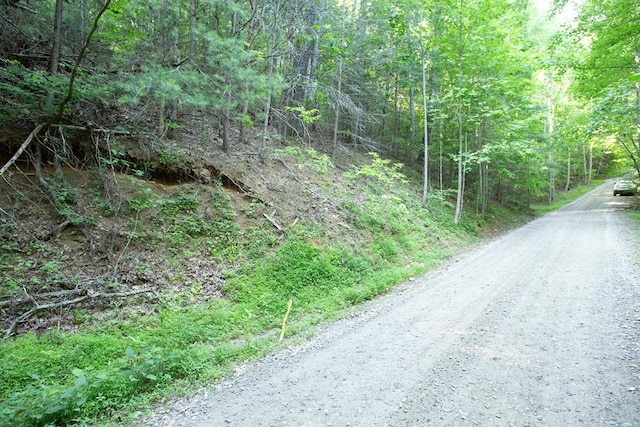 Lot168 Aj'S Holler, Blairsville GA, 30512 land for sale