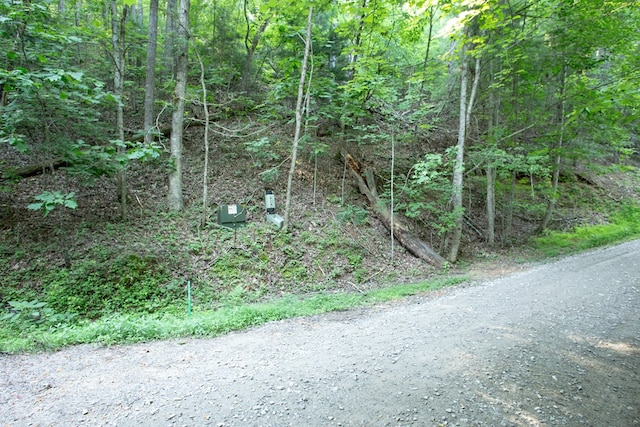 Listing photo 2 for Lot168 Aj'S Holler, Blairsville GA 30512