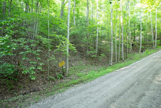 Listing photo 3 for Lot168 Aj'S Holler, Blairsville GA 30512