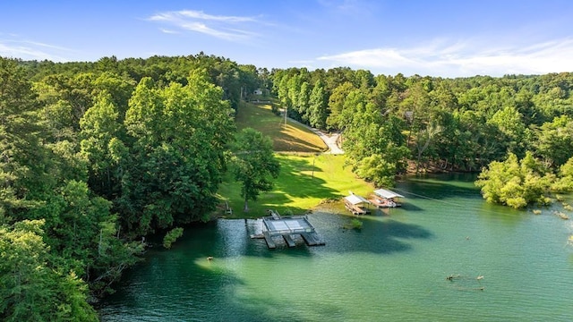 bird's eye view featuring a water view and a wooded view