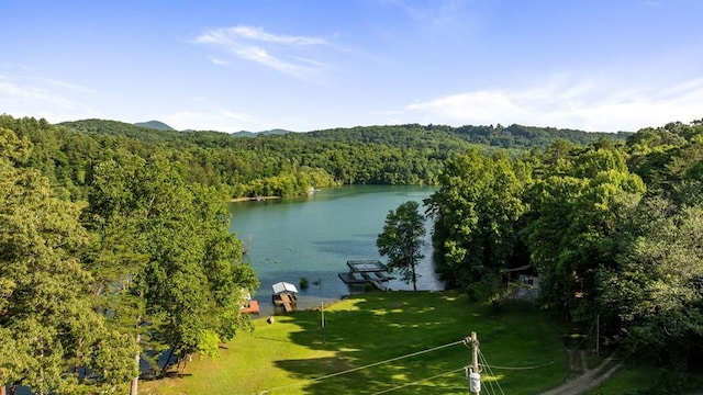 property view of water with a view of trees