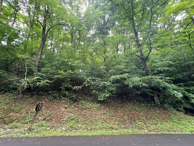 0 Ash Branch Cir, Hayesville, NC 28904