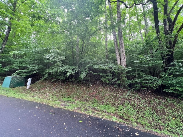 0 Ash Branch Cir, Hayesville, NC 28904