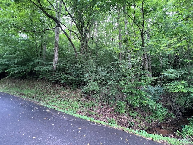 0 Ash Branch Cir, Hayesville, NC 28904