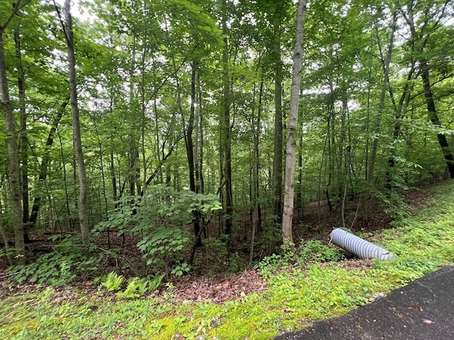0 Ash Branch Cir, Hayesville, NC 28904