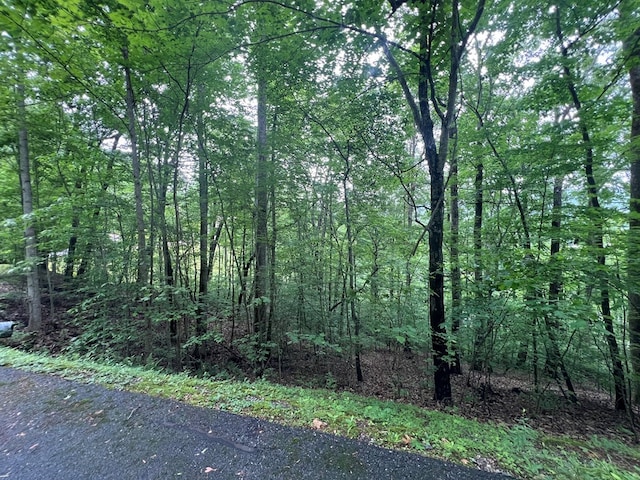 0 Ash Branch Cir, Hayesville, NC 28904