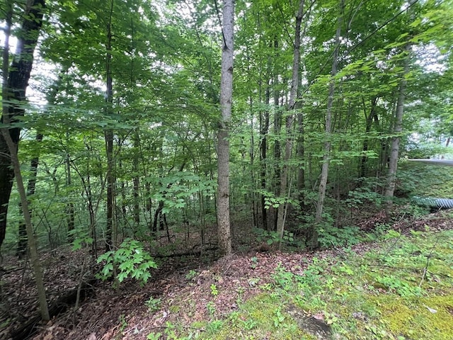 0 Ash Branch Cir, Hayesville, NC 28904