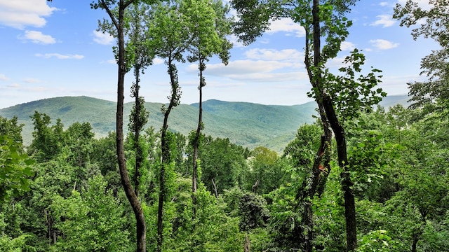 property view of mountains