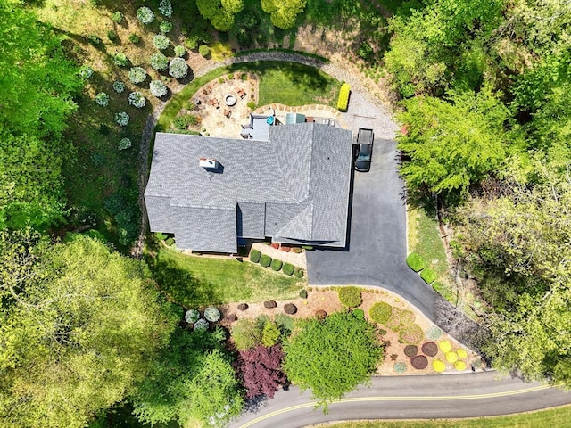 aerial view