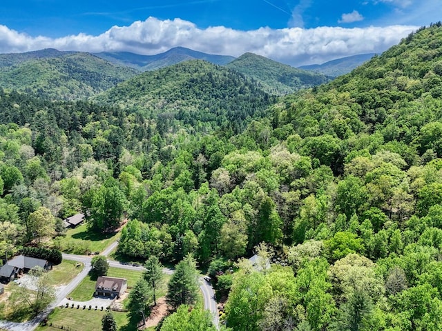 bird's eye view featuring a wooded view and a mountain view
