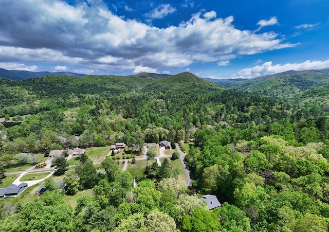aerial view with a mountain view and a forest view