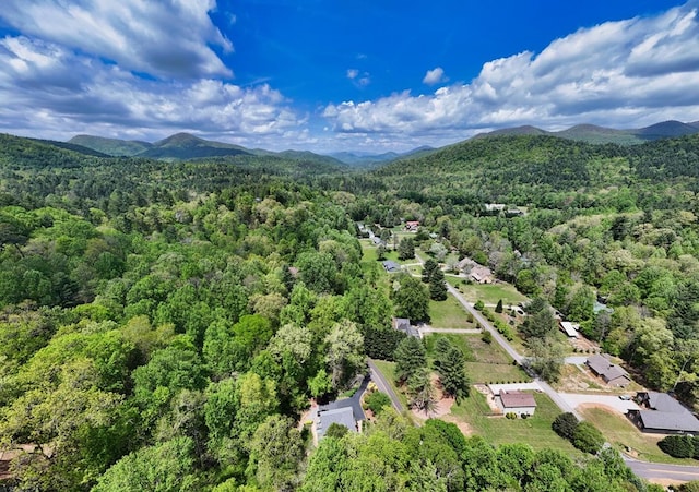 aerial view with a mountain view and a forest view