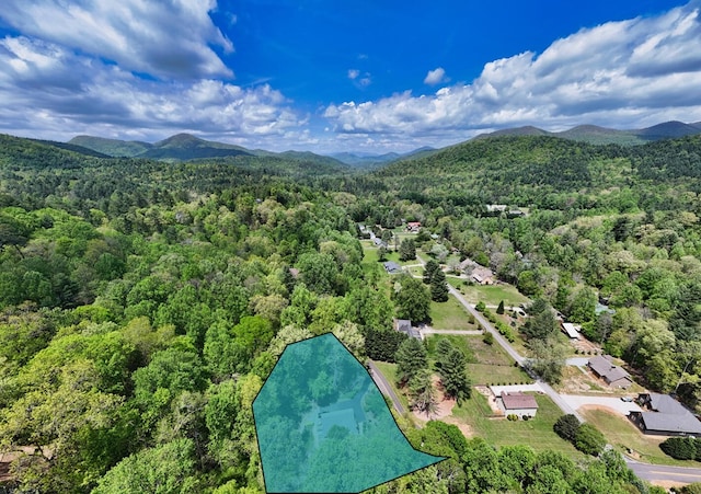 birds eye view of property featuring a mountain view and a forest view